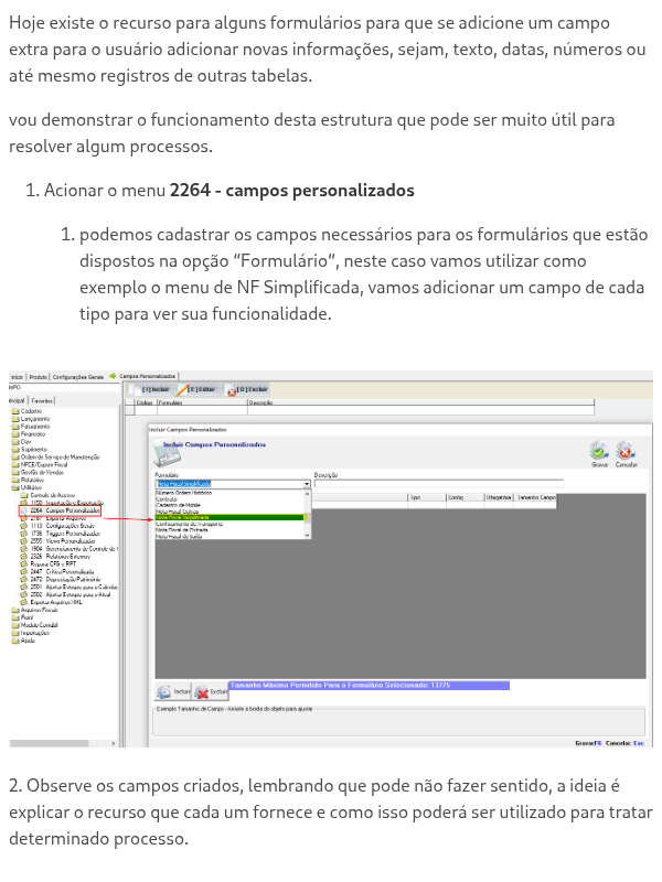 Utilidade dos Campos personalizados, como utilizar
