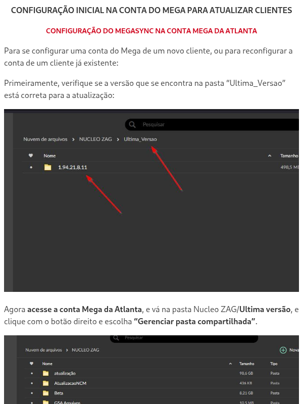 CONFIGURAÇÃO INICIAL NA CONTA DO MEGA PARA ATUALIZAR CLIENTES